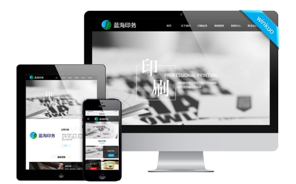 印刷包裝網(wǎng)站建設(shè)案例